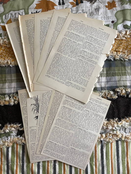 Vintage Encyclopedia Pages - digital backgrounds for art prints and commercial use