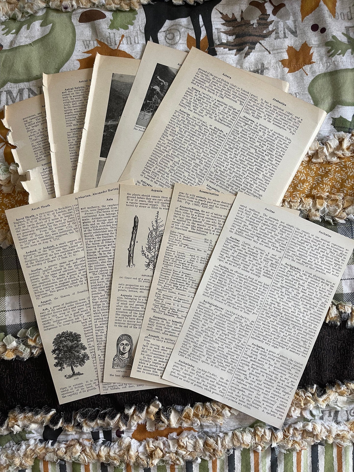 Vintage Encyclopedia Pages - digital backgrounds for art prints and commercial use