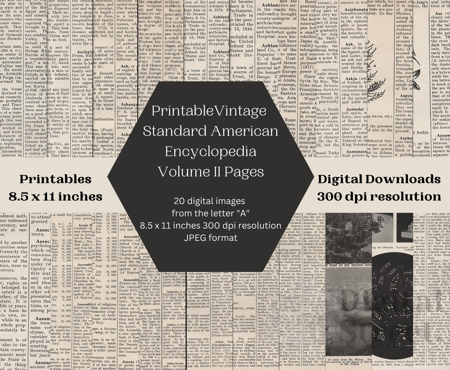 Vintage Encyclopedia Pages - digital backgrounds for art prints and commercial use